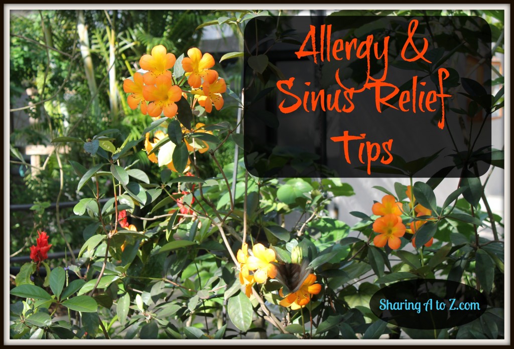 allergy and sinus relief