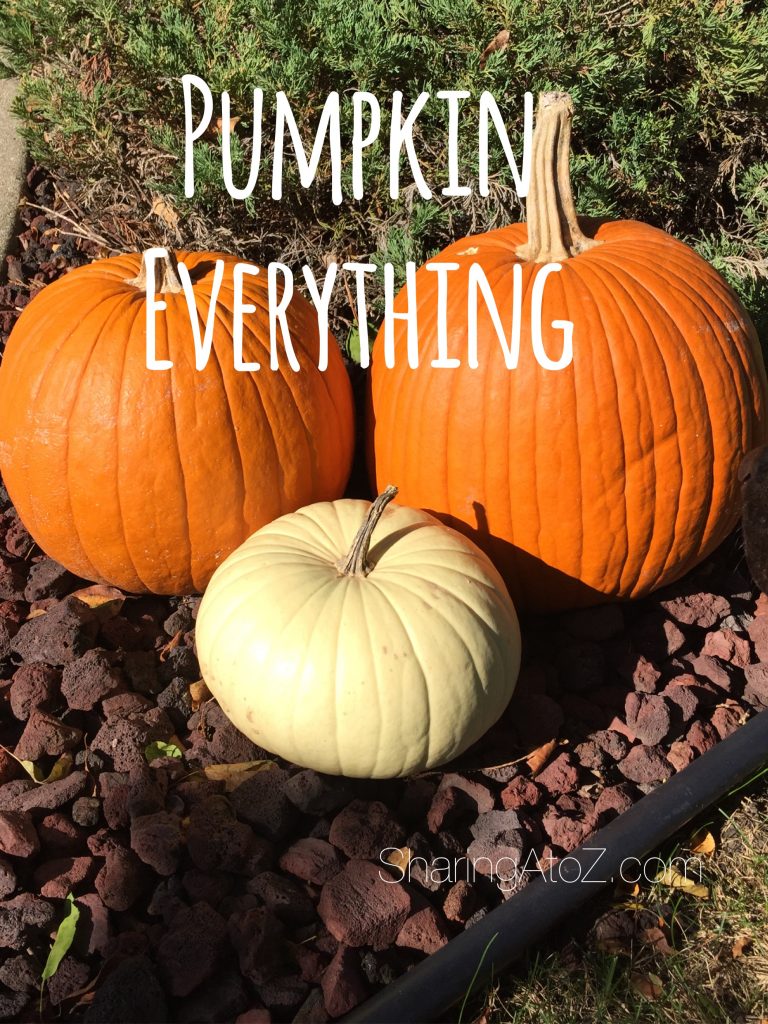 pumpkin everything